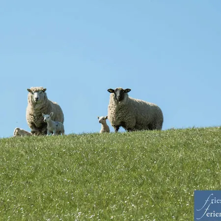Friesenhain Apartament *