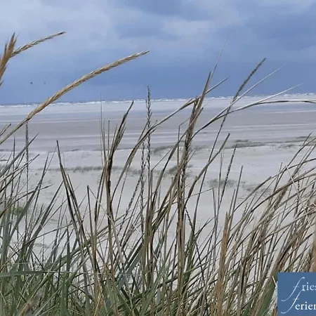 Friesenhain * Sankt Peter-Ording