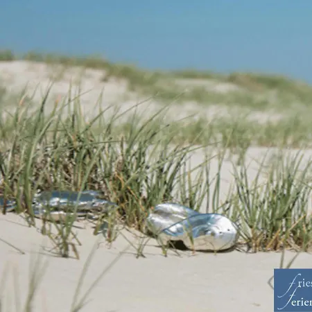 Friesenhain Apartament Sankt Peter-Ording