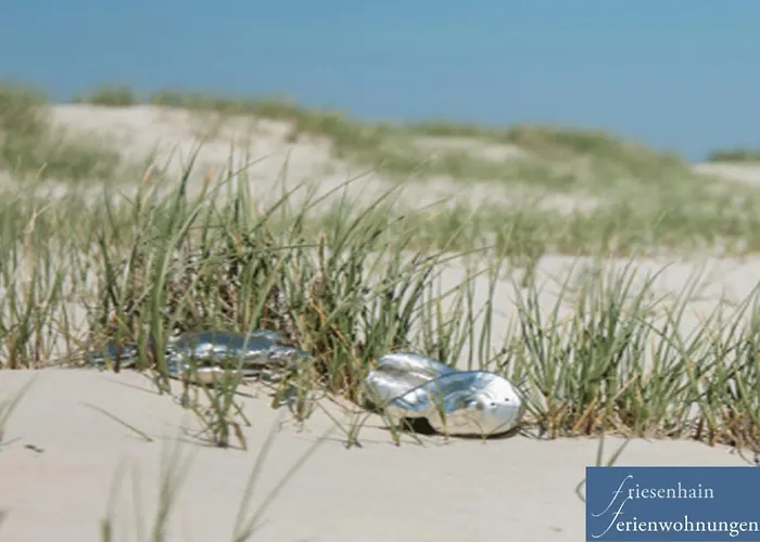 Friesenhain Apartamento Sankt Peter-Ording